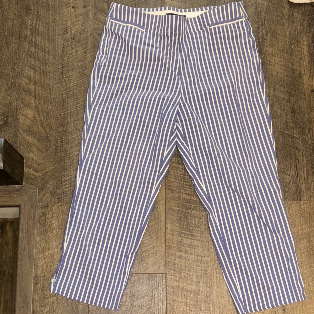 Counterparts Women’s Blue and White Striped Capri Pants